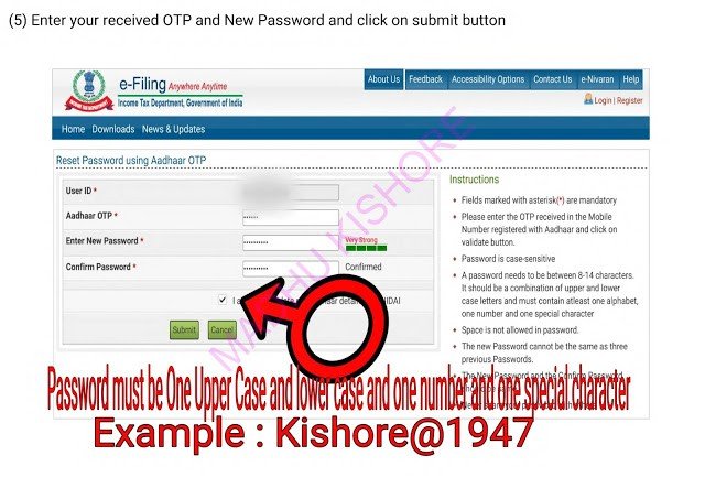 Income Tax e filling Password Reset Process 3