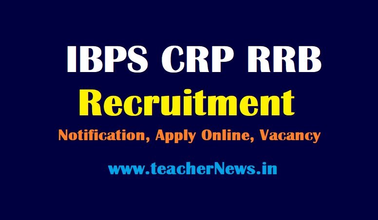 IBPS CRP RRB Recruitment - Apply Online for Vacancy @www.ibps.in