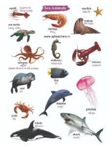 Dec-Learn a Word-22 (1)3