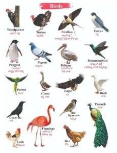 Dec-Learn a Word-22 (1)4