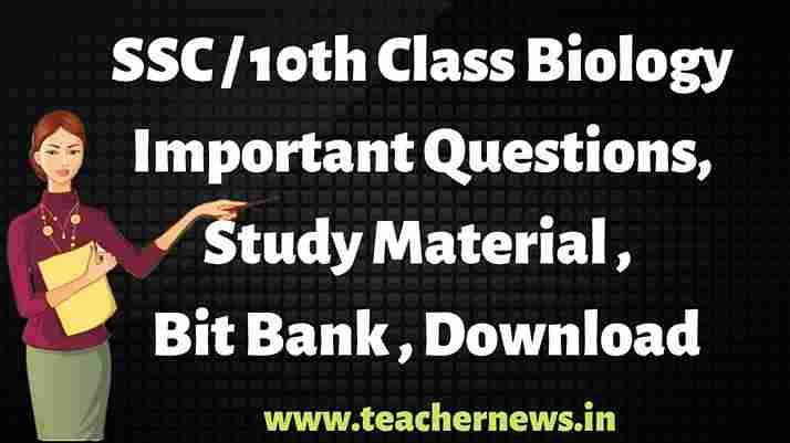 CBSE Exam Time Table 2023 For Class 10th,12th Exam Date Sheet Available