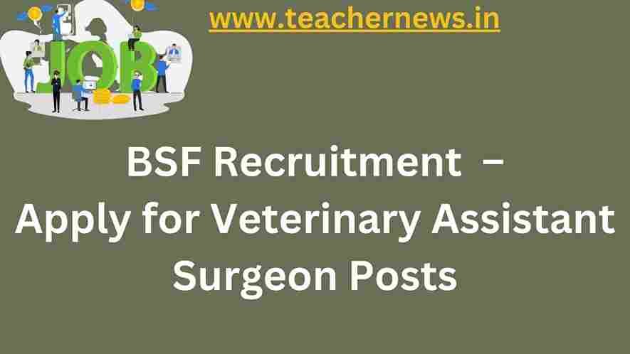BSF Recruitment