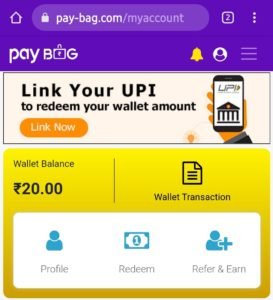 Pay-Bag Wallet instantly