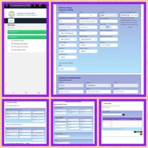 TIS Website Details Form